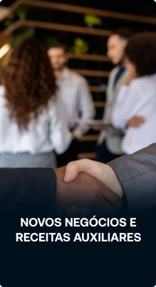 NOVOS NEGOCIOS E RECEITAS AUXILIARES webp